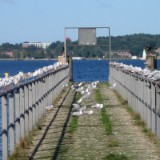 0508F 97 Kieler Foerde